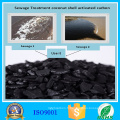 Type adsorbant et charbon actif granulaire à base de noix de coco